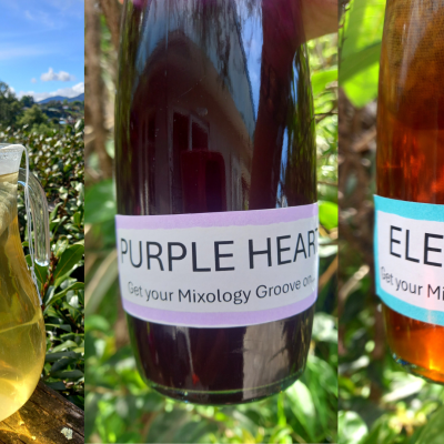 Purple Heart Herbtail